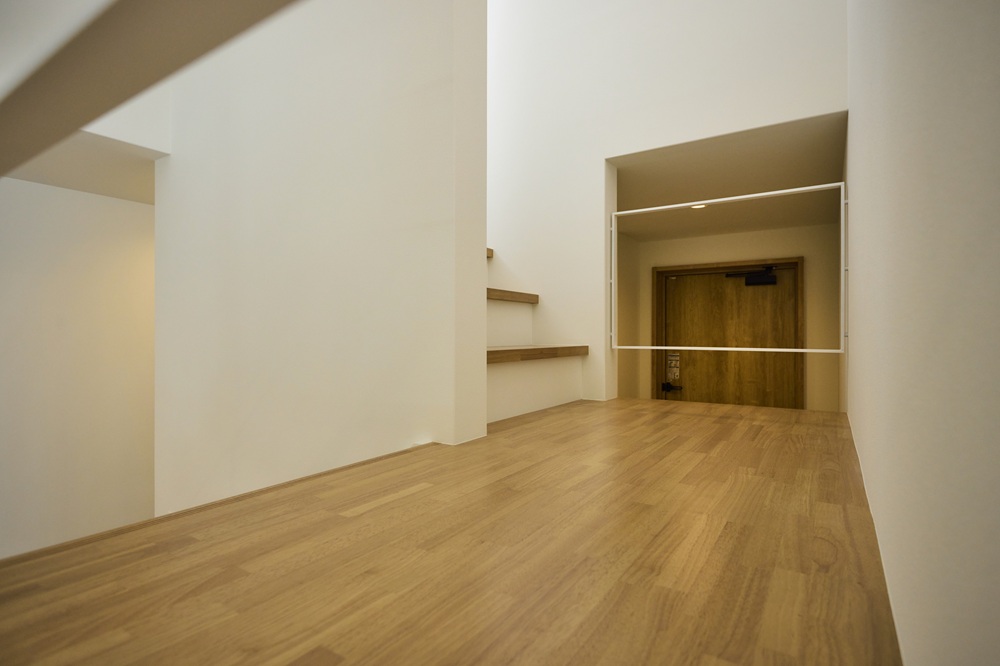  NOTOS -ノトス- スケルトン階段 NO-411